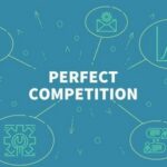 Модель совершенной конкуренции — признаки, свойства